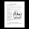 A Moral Life-A Happy Life-Collection of 365 moral stories-A life-changing treasury of wisdom and joy - Image 4