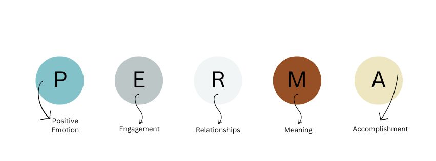 PERMA Model of Well-being - PERMA components