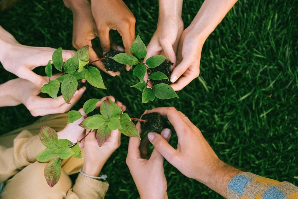 Kindness for Happiness - Planting trees