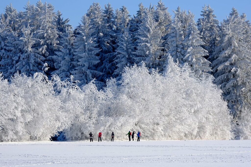 Winter Bucket List Ideas: Activities to Increase Happiness: Winter activities