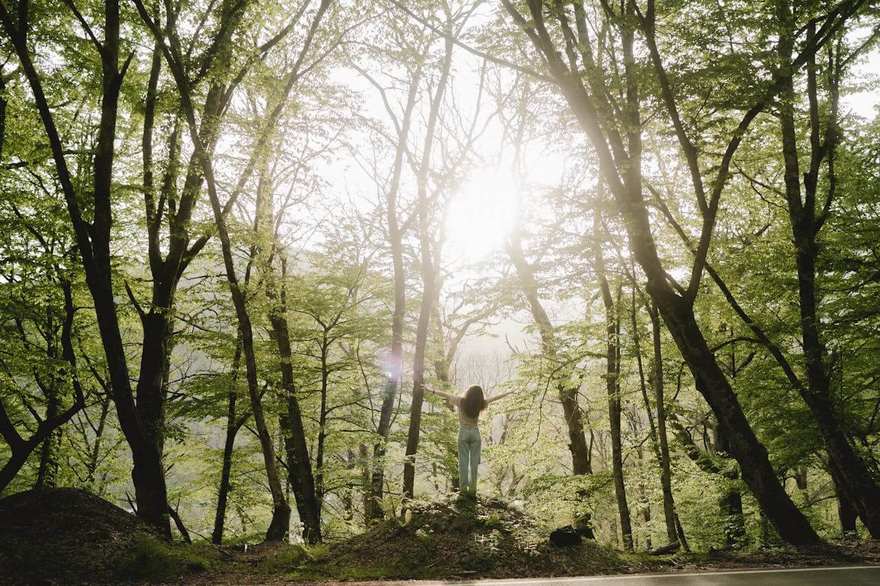 Finding Happiness in Nature: How to Reconnect With Nature