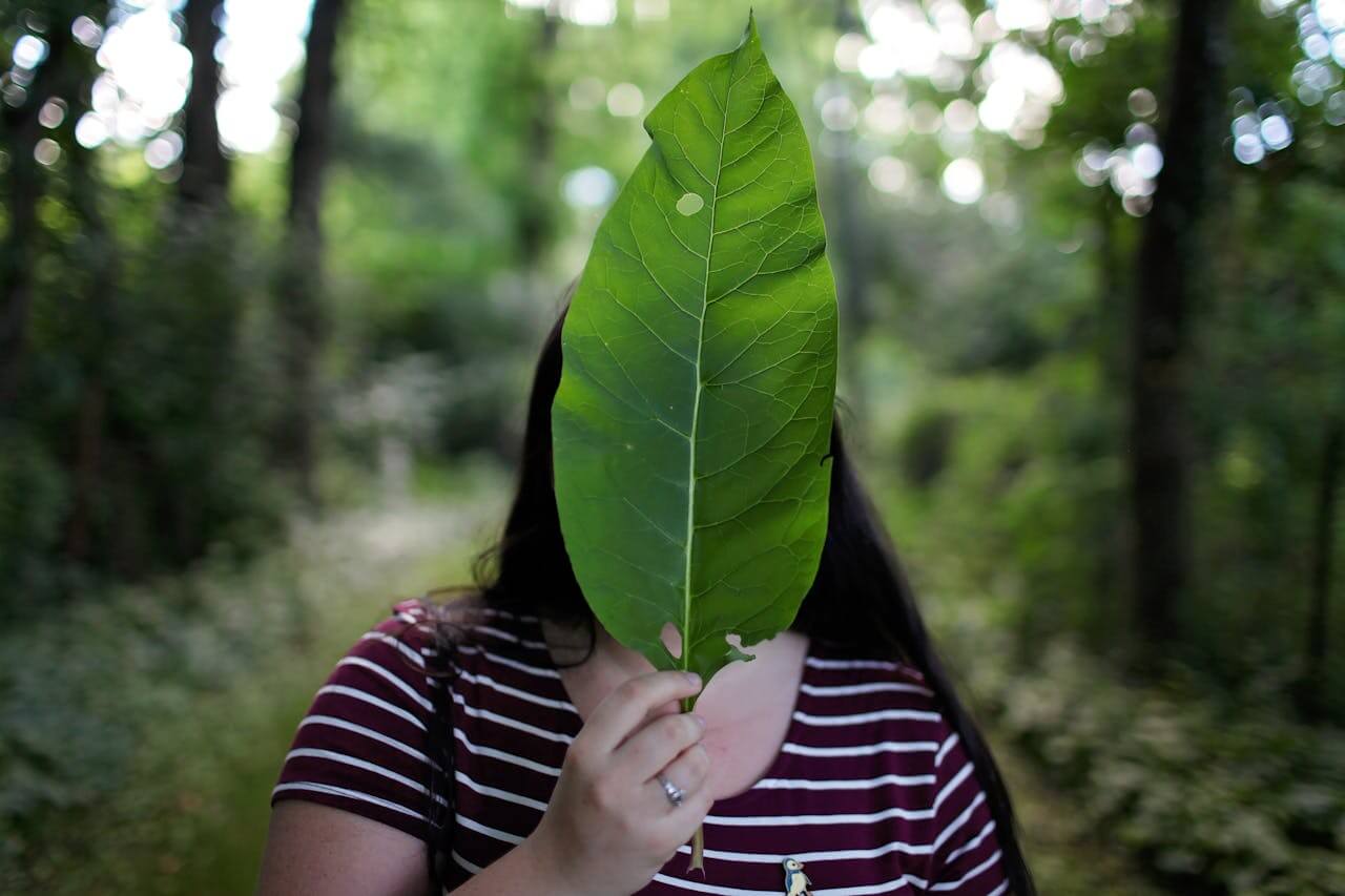 finding happiness in nature