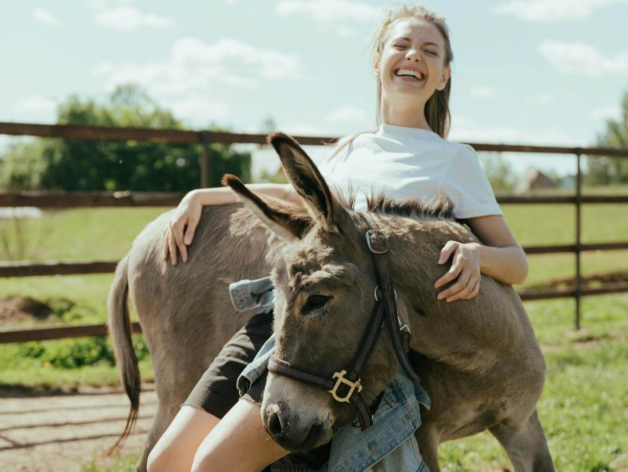 How to Find Humor in Everything And Become Happier